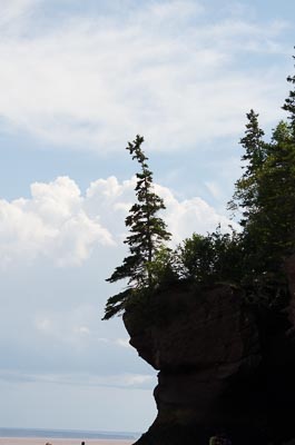 Balancing Tree